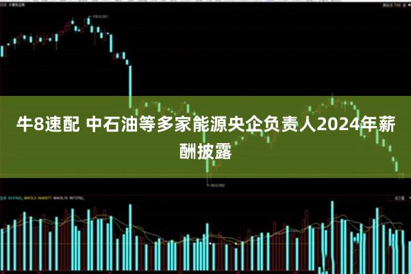 牛8速配 中石油等多家能源央企负责人2024年薪酬披露
